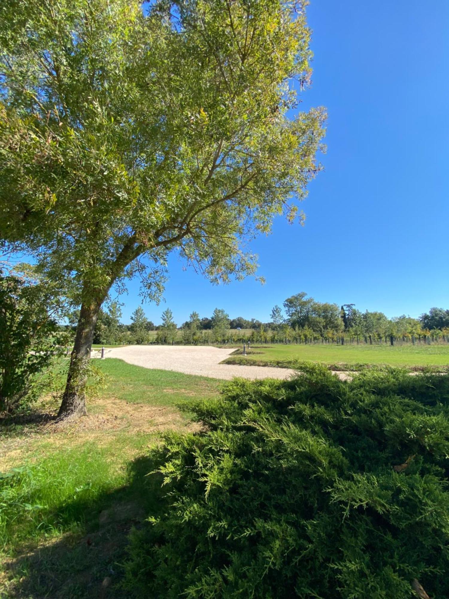 Gite Clara - Domaine Du Catalan Aubiet Esterno foto